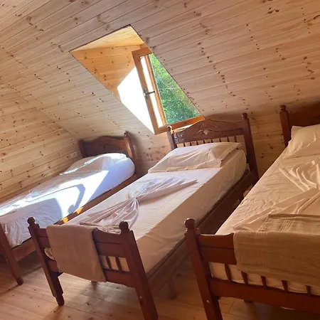 Te Oli Gasthof Theth